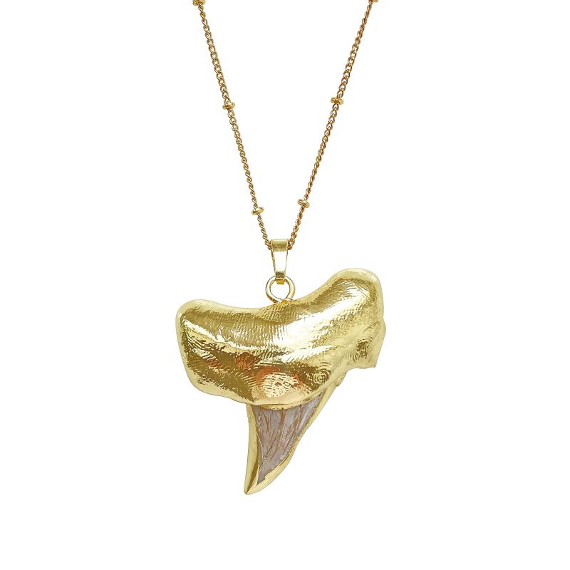 Shark Tooth Necklace Ocean image