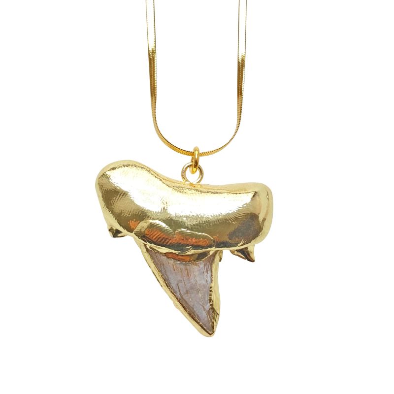 Shark Tooth Necklace Ocean image