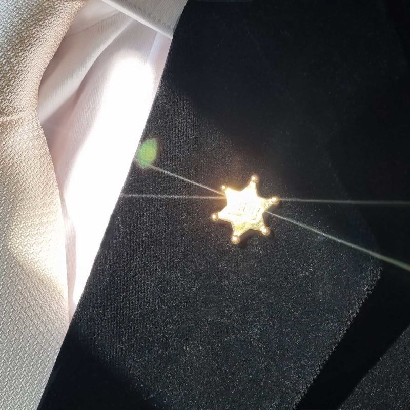 Sheriff Pin