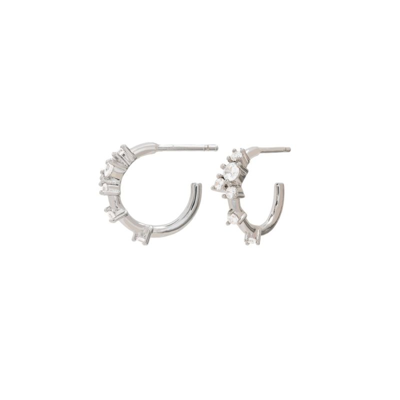 Silver Orchid Flower Hoops image
