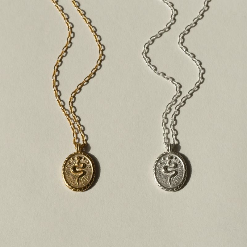 Snake Talisman Necklace In Vermeil image