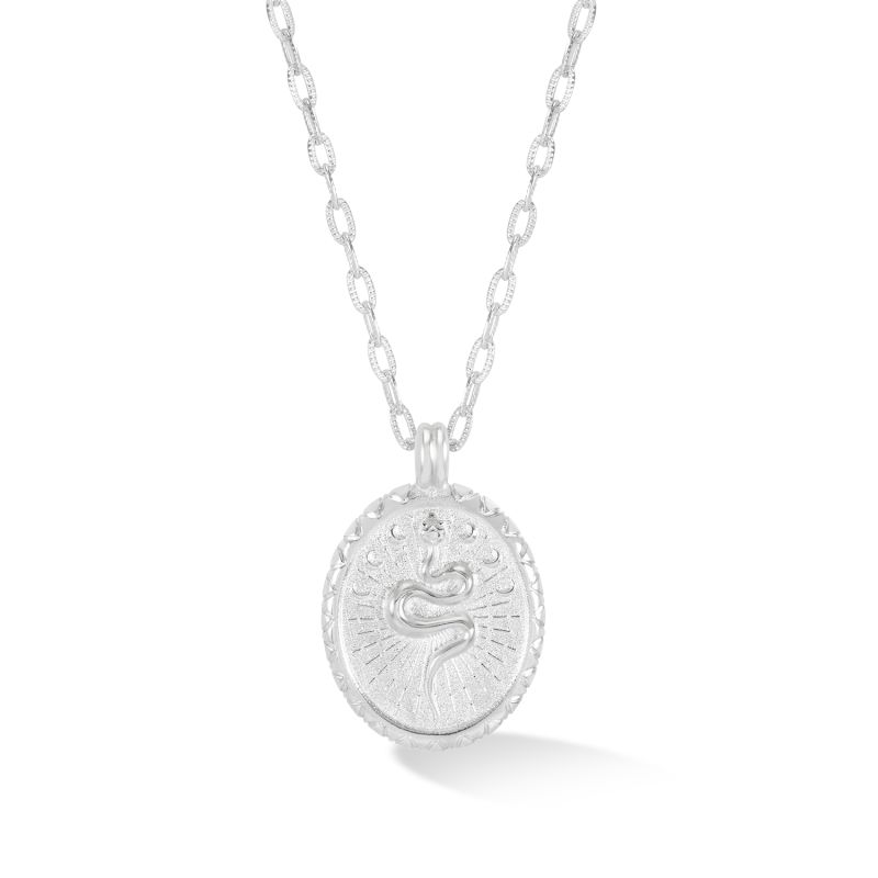 Snake Talisman Necklace In Silver image