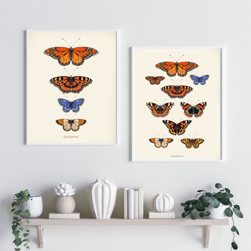 'Antique British Butterflies' Fine Art Print A3 image