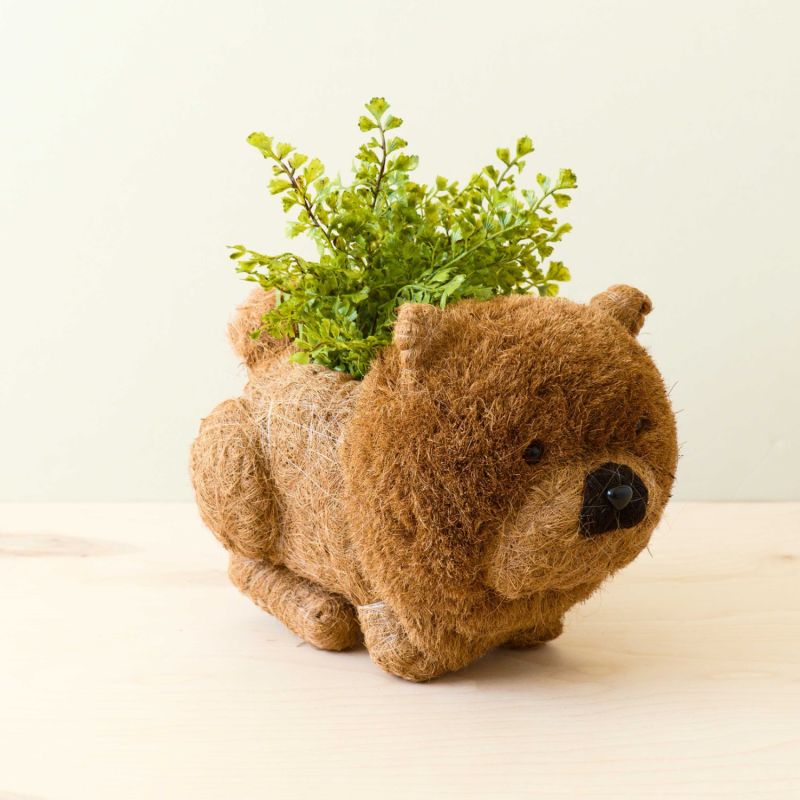 Chow Chow Planter - Dog Plant Pot image