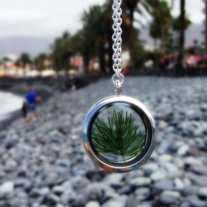 Natural Pine Tree Needles Stainless Steel Amulet Necklace - Forever Young image