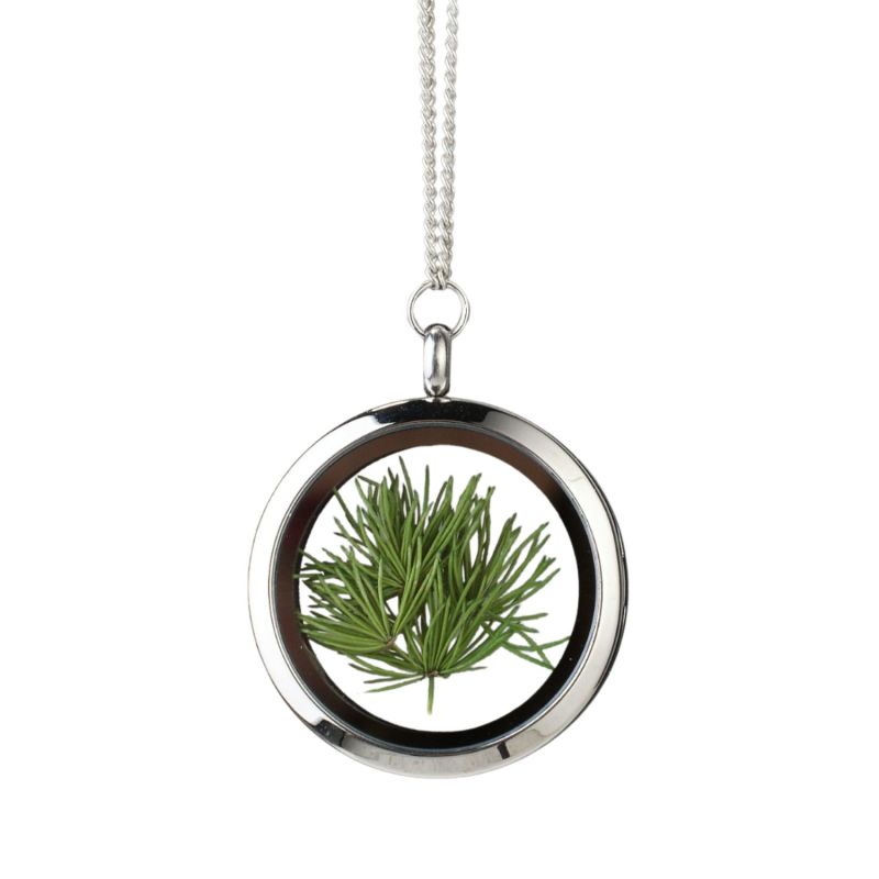 Natural Pine Tree Needles Stainless Steel Amulet Necklace - Forever Young image