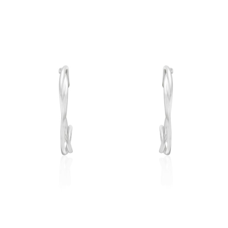 Silver Flavia Earrings image