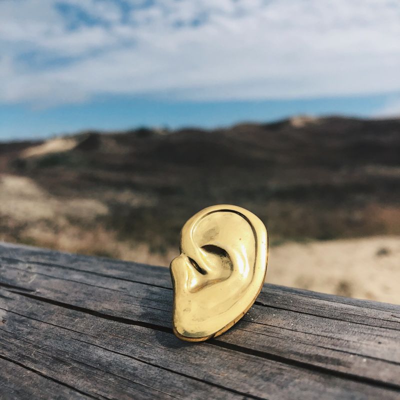 Golden Pin Ear image