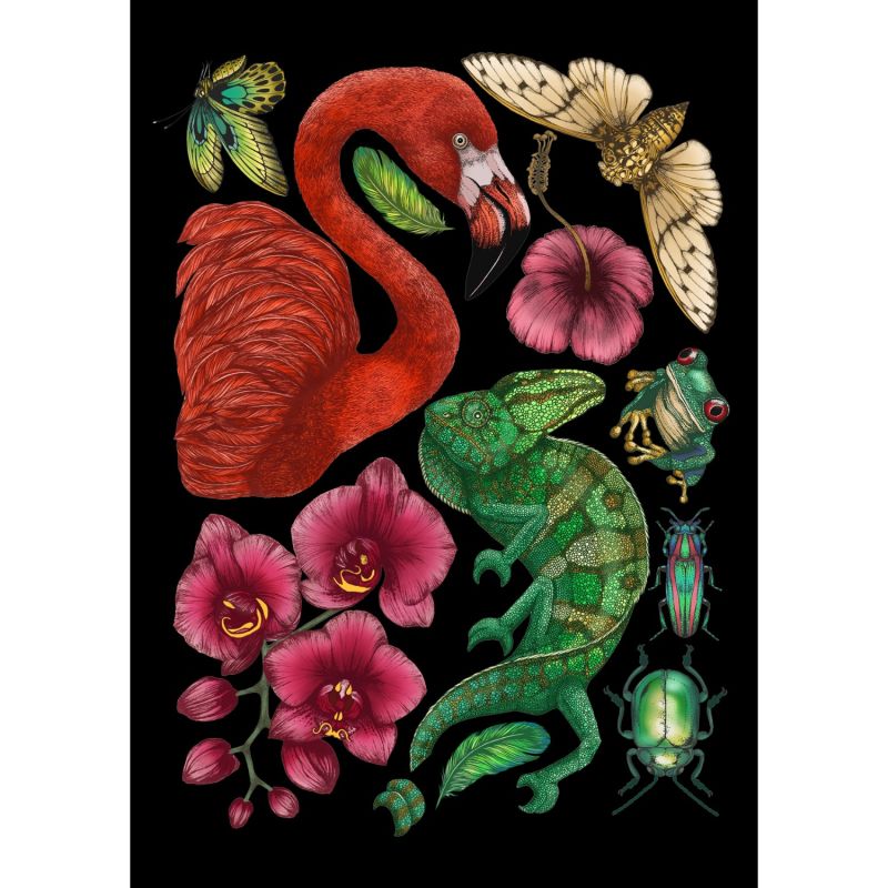 Antique Tropical Flora & Fauna - Black Fine Art Print A5 image