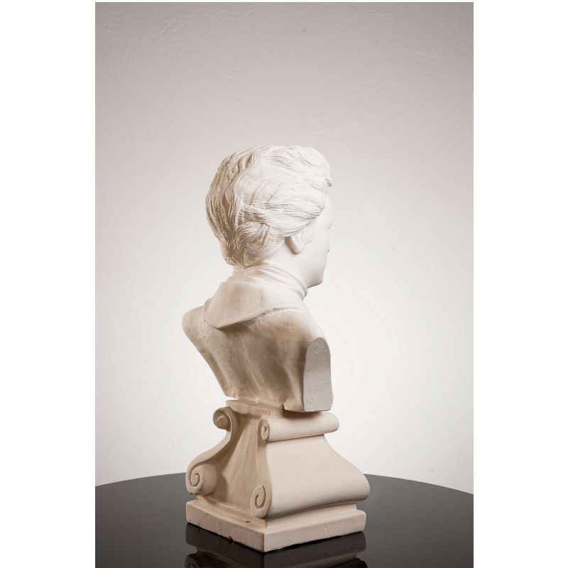 Ludwig Van Beethoven Bust image