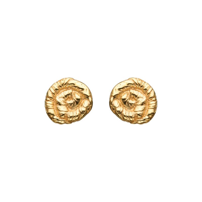 Nautilus Earrings Gold image