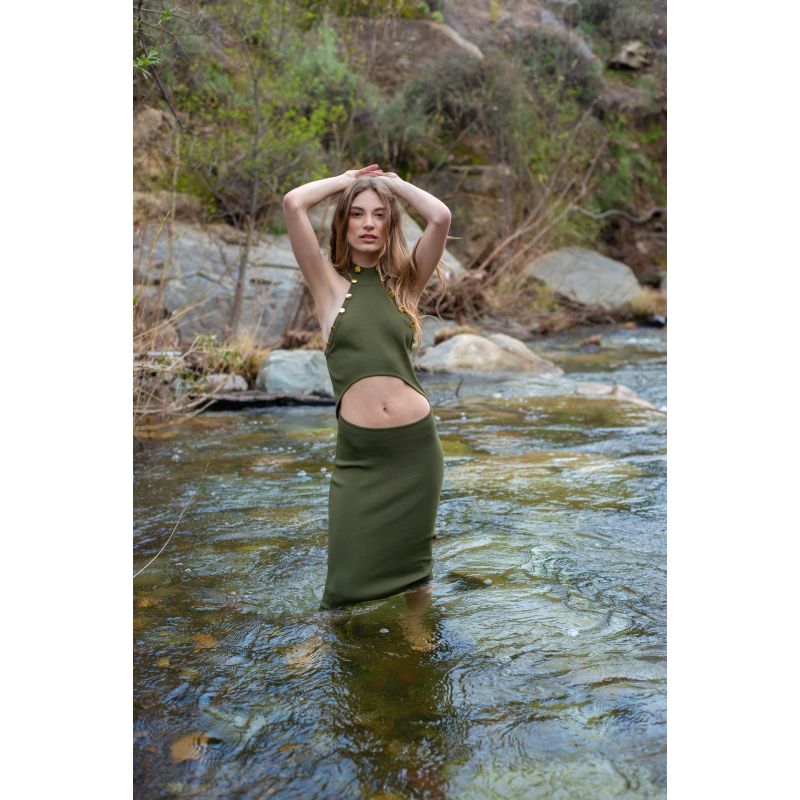 The Dryad Midi Dress image