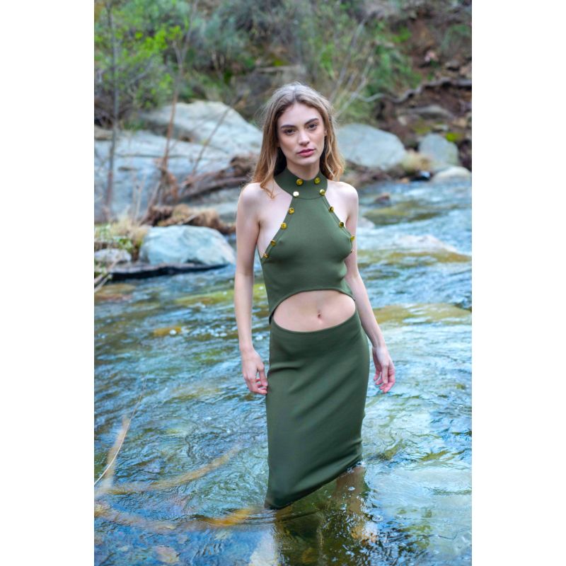 The Dryad Midi Dress image