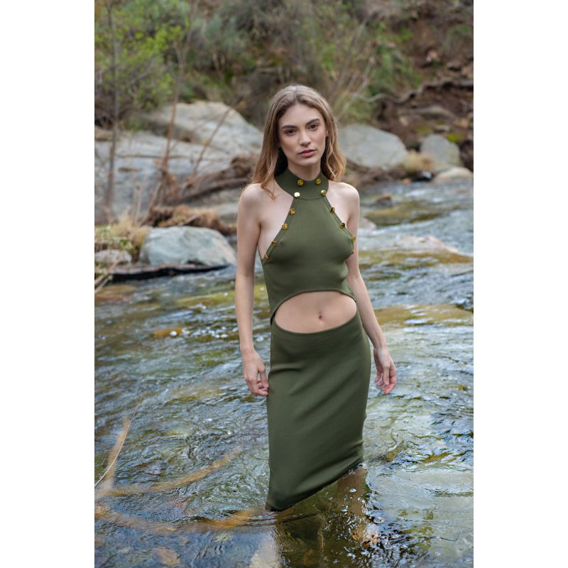 The Dryad Midi Dress image