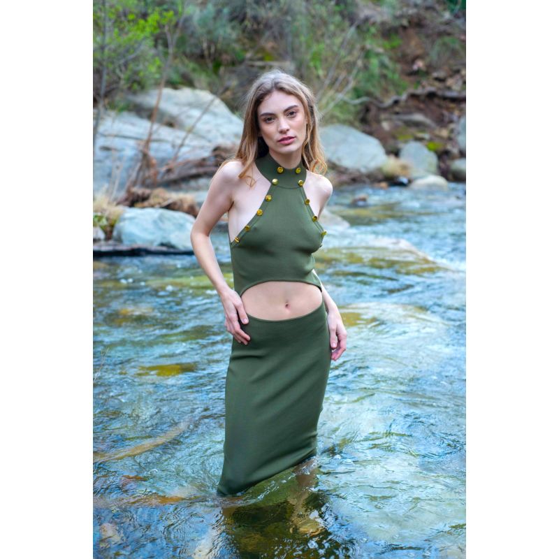 The Dryad Midi Dress image