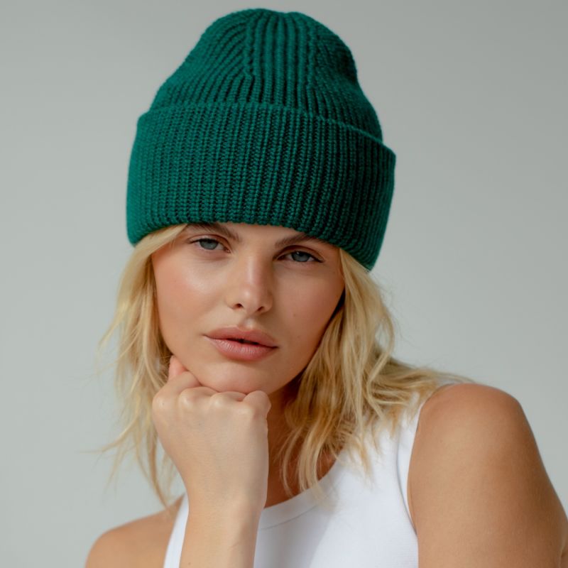 The Merino Wool Beanie In Green image