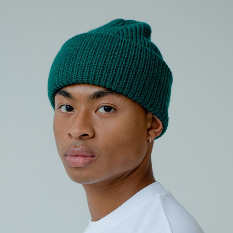 The Merino Wool Beanie In Green image