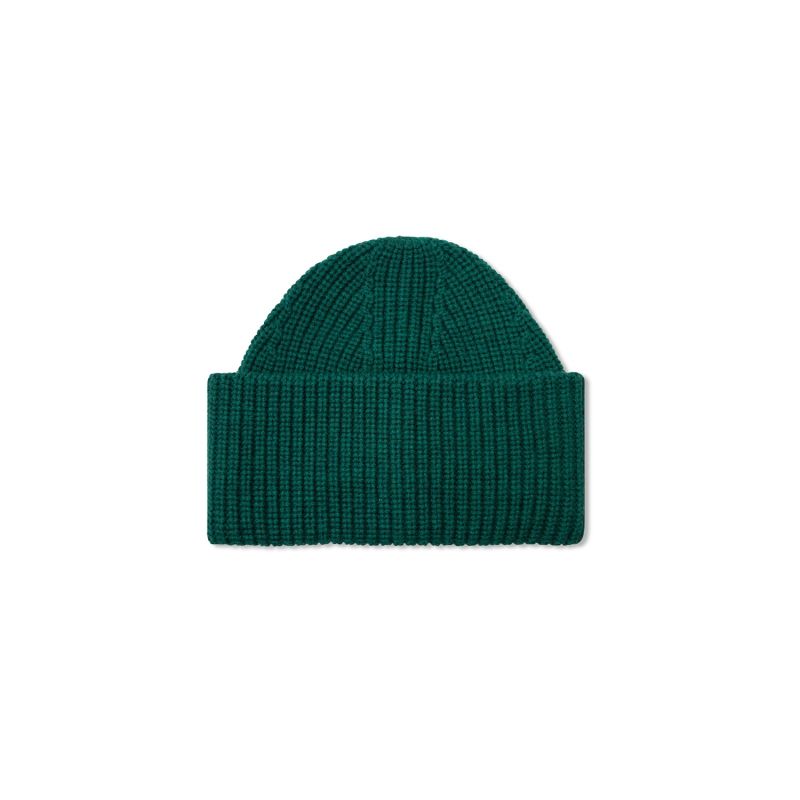 The Merino Wool Beanie In Green image