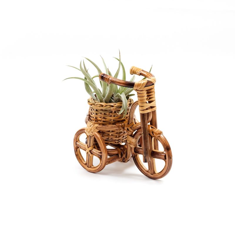 Rattan Bike Planter Small image