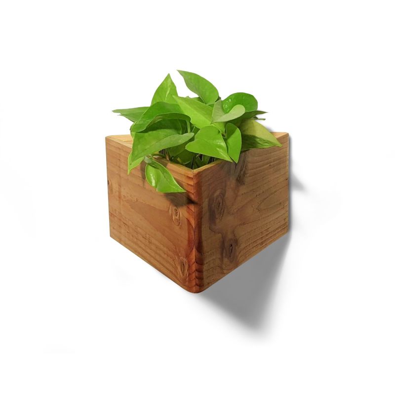 Triangle SelfWatering, WallMounted Planter Natural Formr Wolf