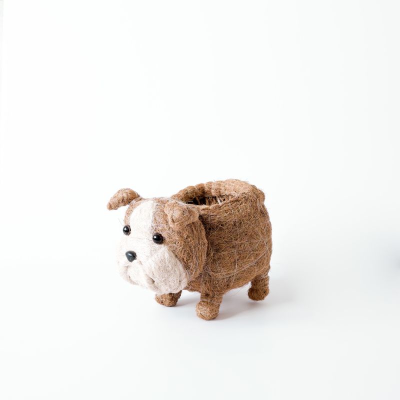 English Bulldog Planter - Coco Coir Pots Likhâ image