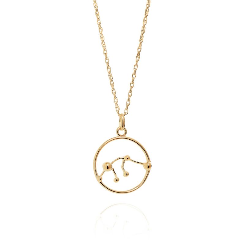 Aquarius Astrology Necklace in 9ct Gold image