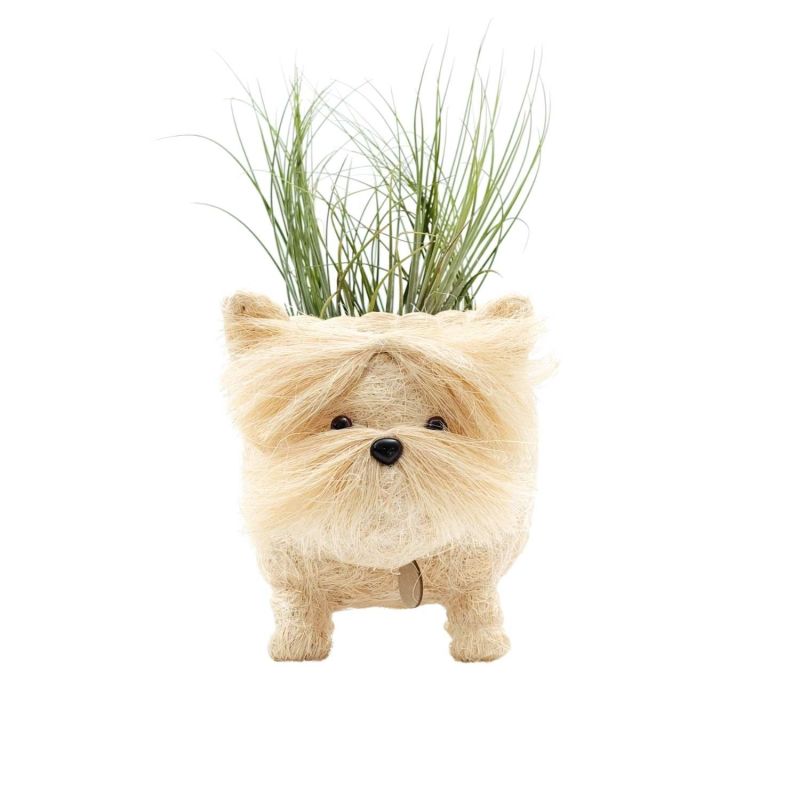 Coco Coir Animal Planter - Westie image