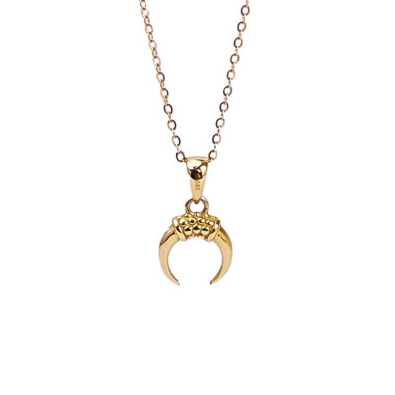 14K Solid Gold Horn Necklace image