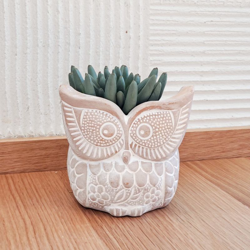 Terracotta Pot - Big Eye Owl image