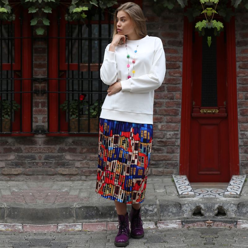 Multi-Color Pleated Maxi Skirt With House Pattern image