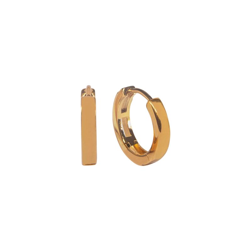 Gold Plated Sterling Silver Hoop Earrings image