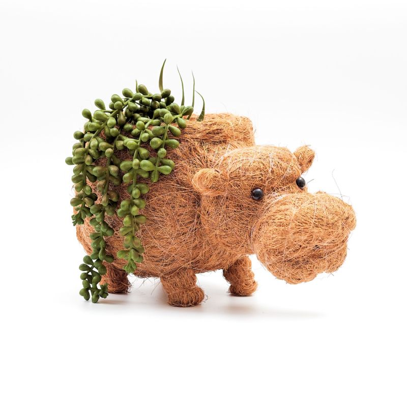 Coco Coir Animal Planter Hippo image