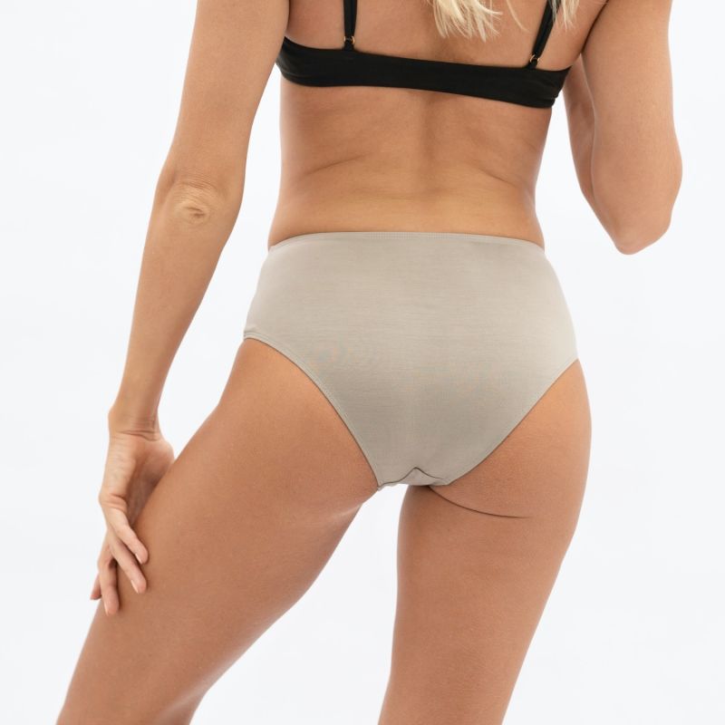 Buenos Aires Modal Bikini Briefs In Sage Grey image