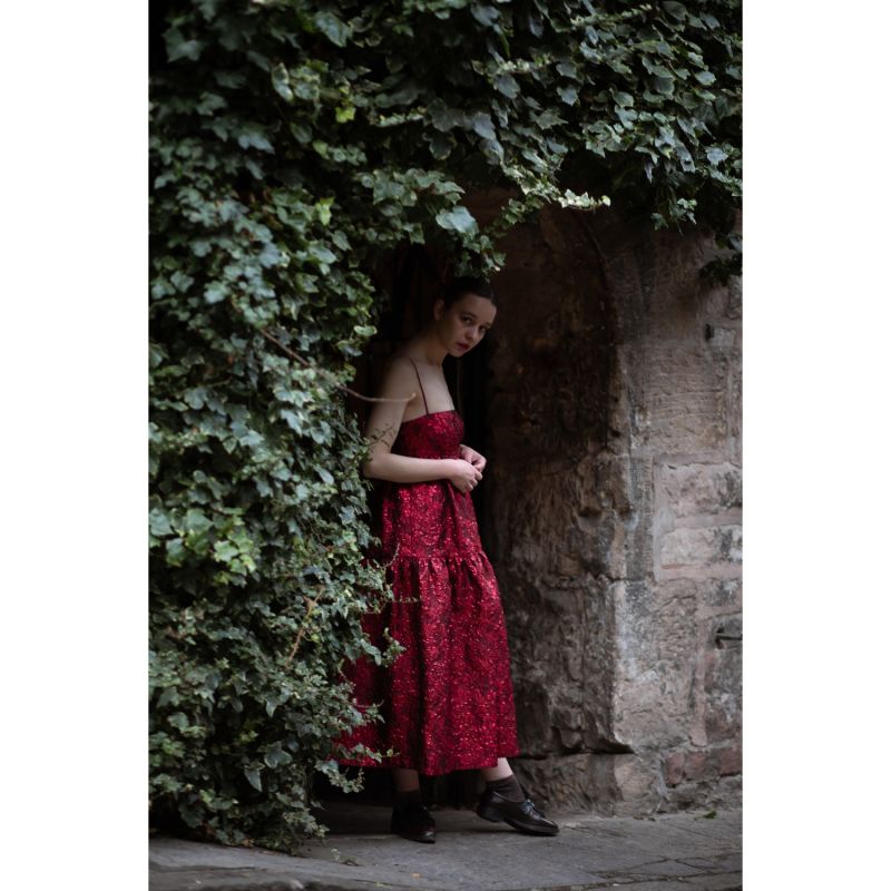 Valentina Red Brocade Party Dress image