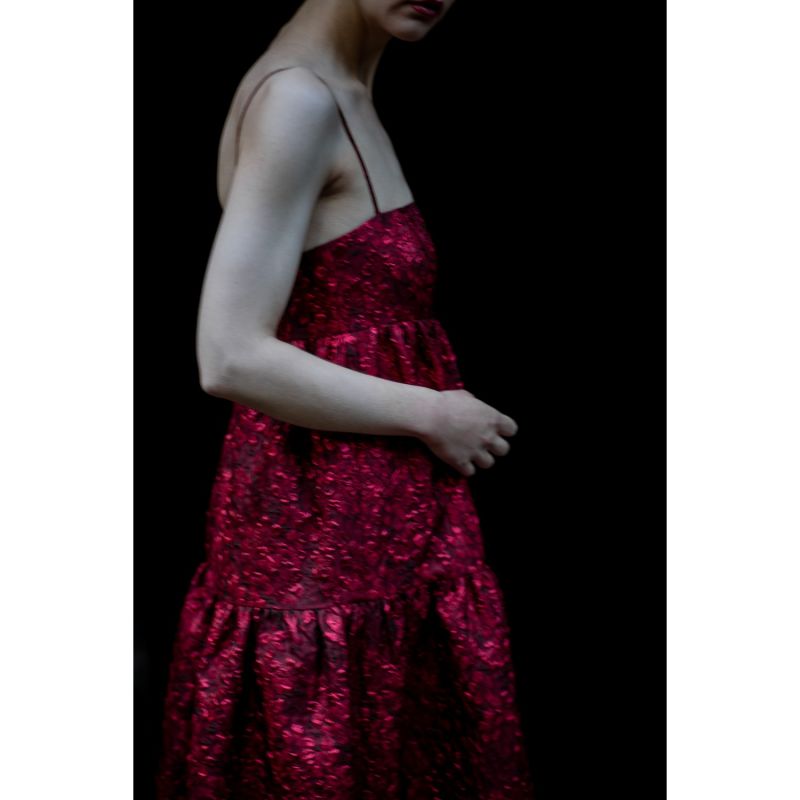 Valentina Red Brocade Party Dress image