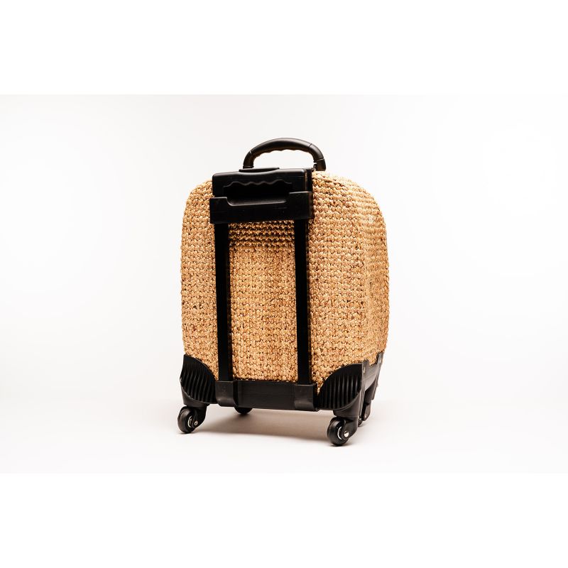 Handwoven Palm Print Luggage image