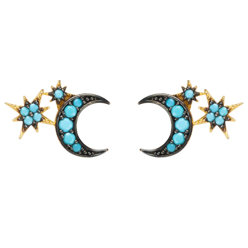 Moon & Starburst Small Stud Earrings Turquoise image