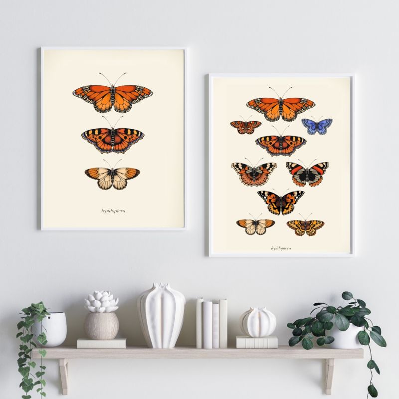 'Antique British Butterflies' Fine Art Print A3 image