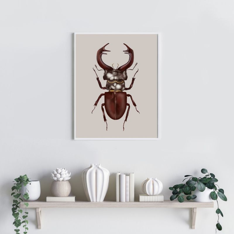 Antique Stag Beetle Fine Art Print A5 image