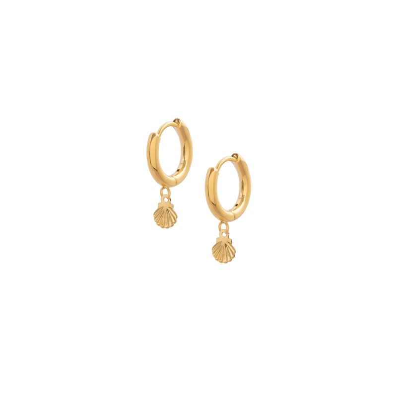 Gold Shelley Hoops image