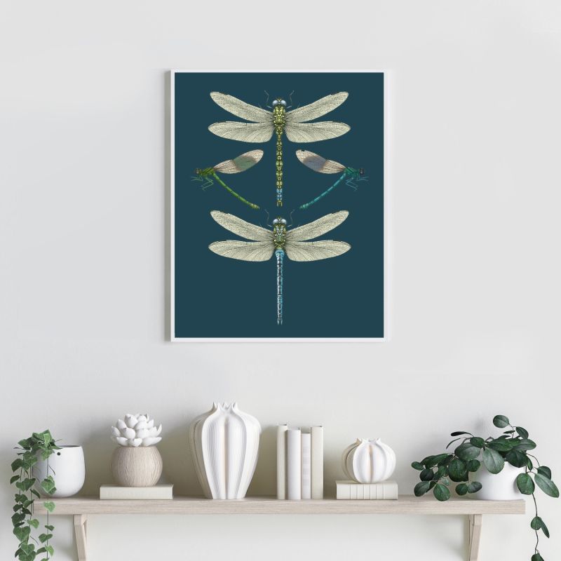 'Dragonflies & Damselflies - Navy' Fine Art Print A5 image