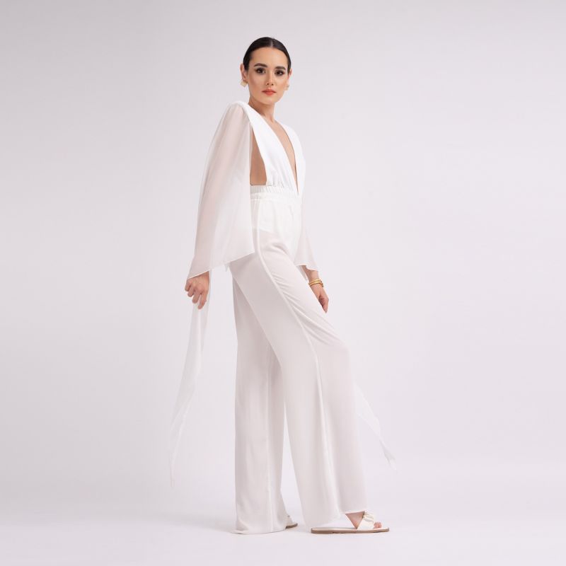 White Body With Chiffon Sleeves image