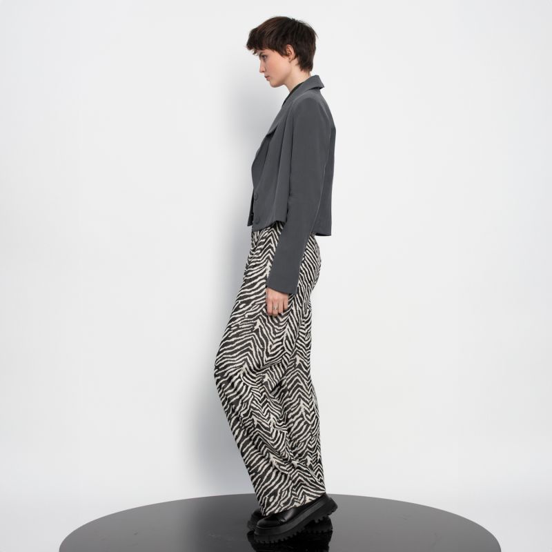 Wide Leg Pleated Pants image