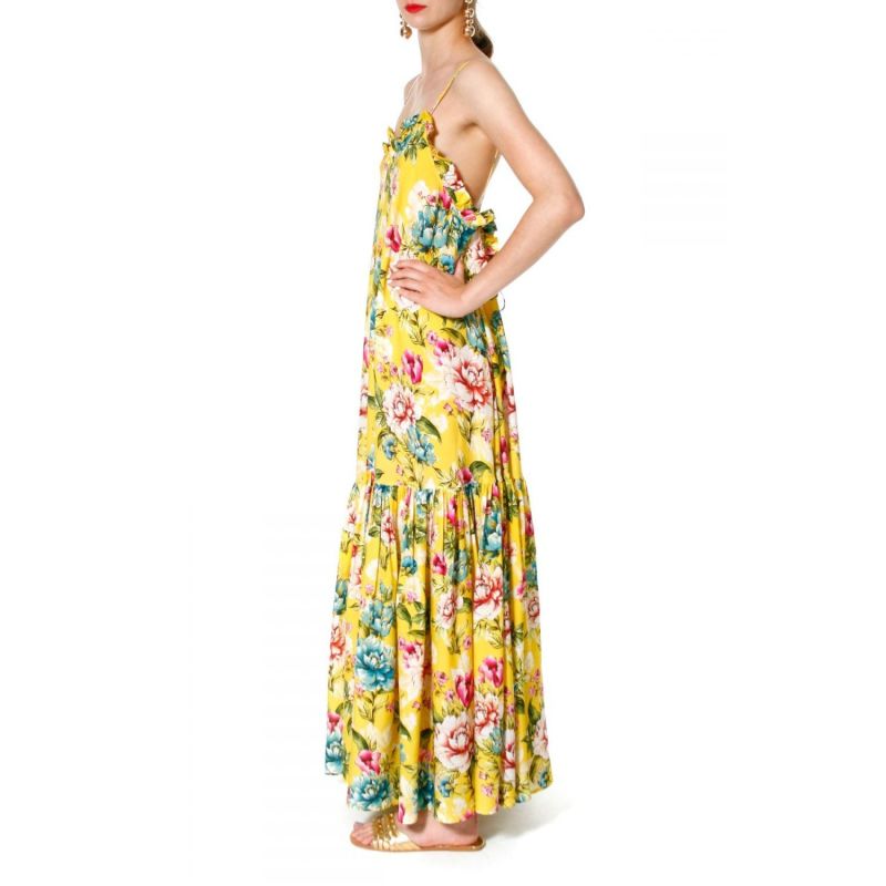 Mimosa Dresss image