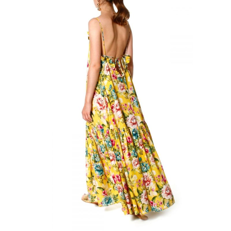 Mimosa Dresss image