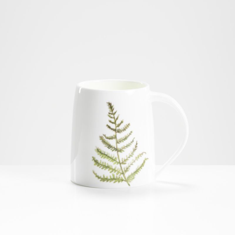 Fern Mugs - Broad Leaf & Pointed Leaf Ferns image