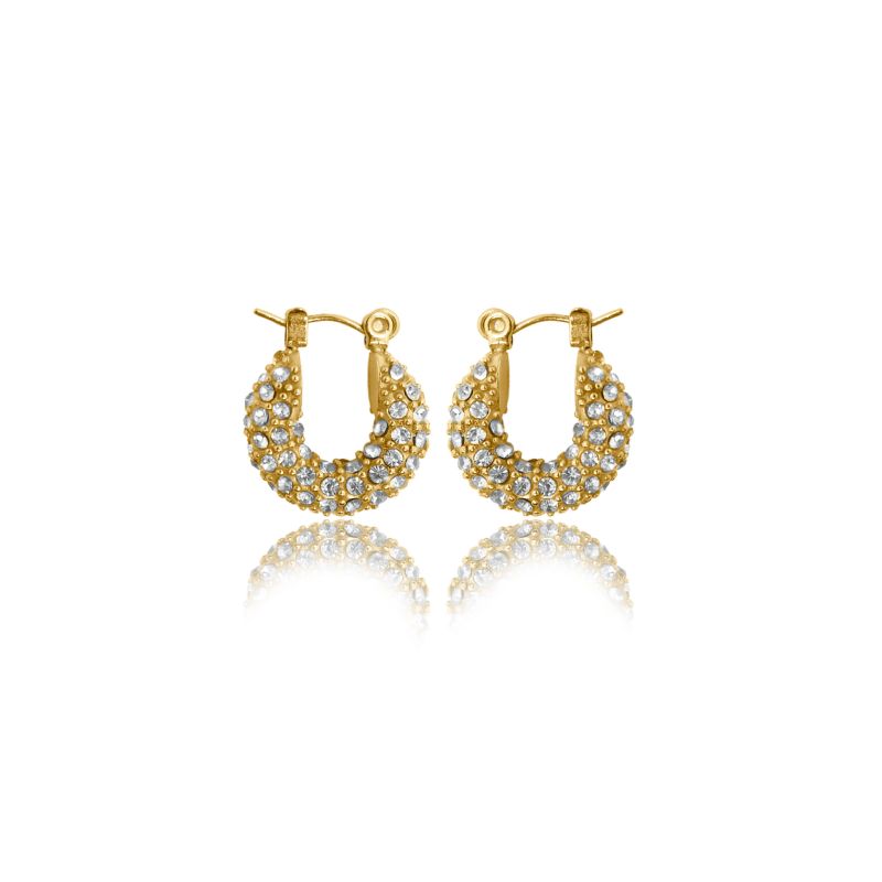 Belle Micro Inlaid Diamond Hoop Earrings image