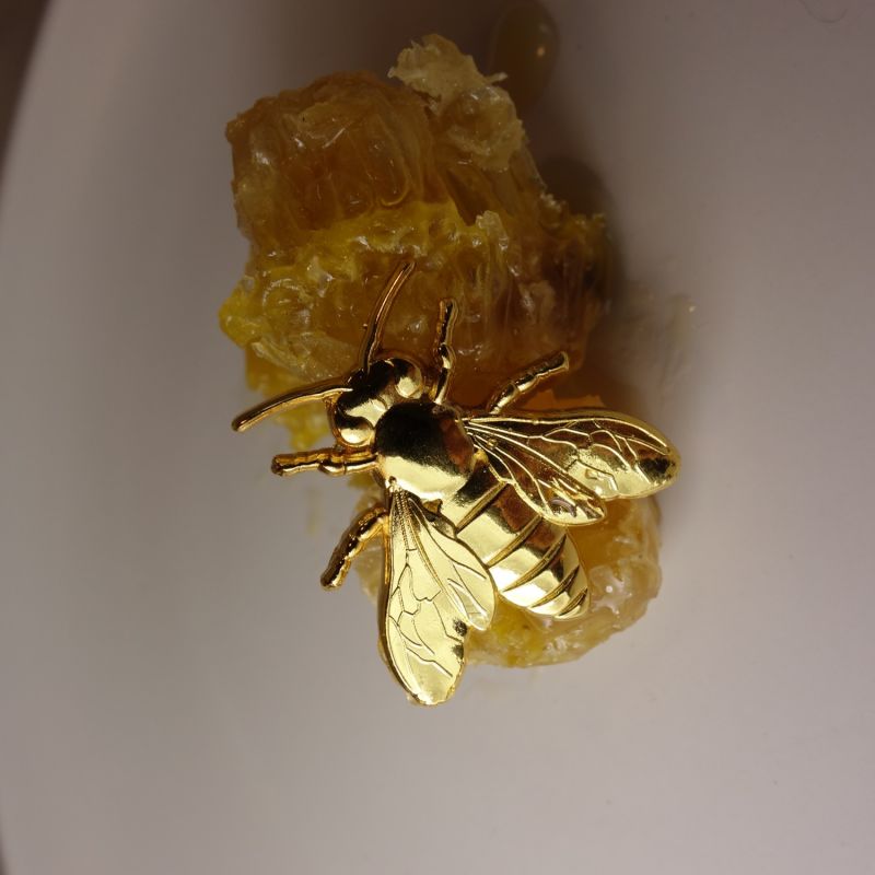 Golden Pin Bee image