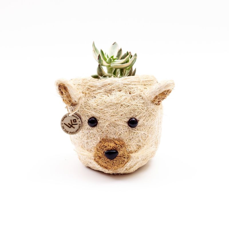 Coco Coir Mini Pot Cat image