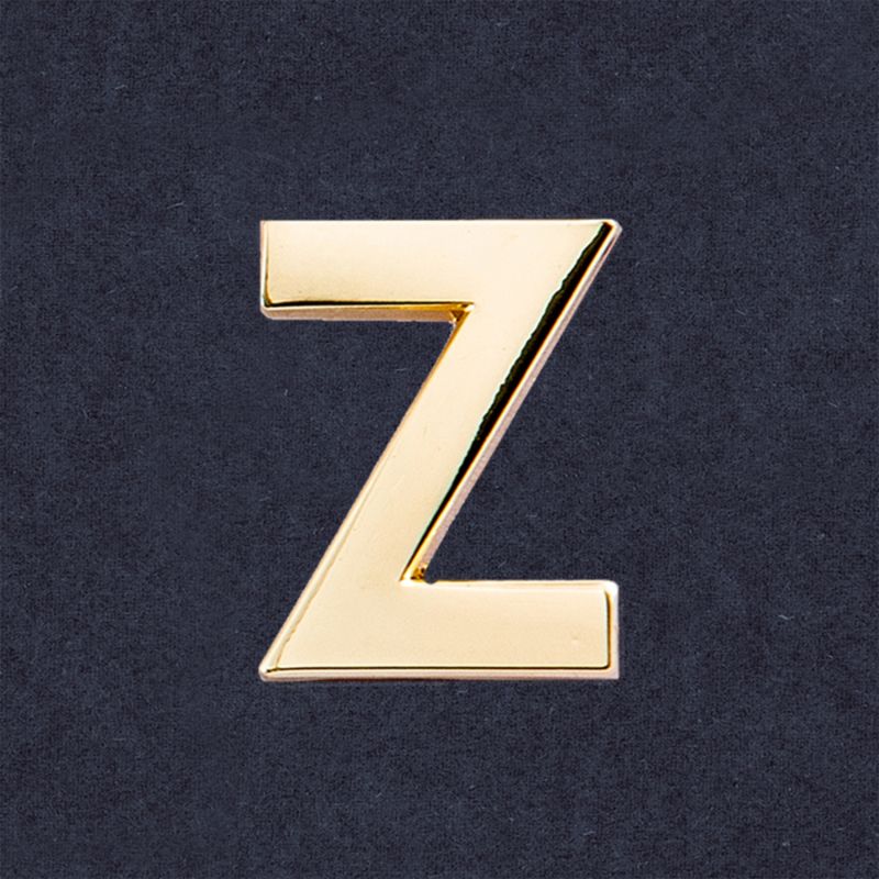 Golden Letter Z Pin image